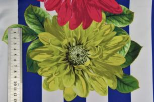 один дизайн